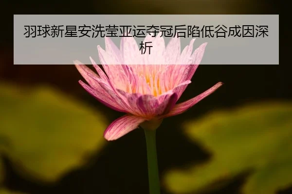 羽球新星安洗莹亚运夺冠后陷低谷成因深析
