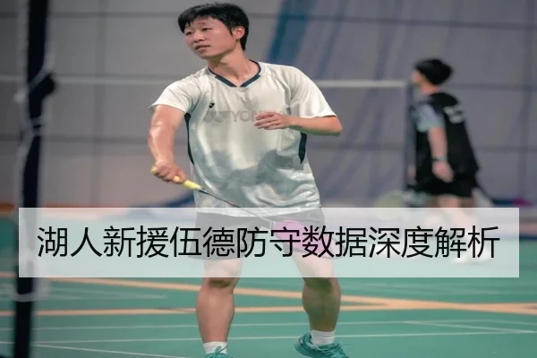 湖人新援伍德防守数据深度解析